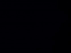 KC006 - Floral - 100% Korean Cotton. 45'' wide. £9.99pm