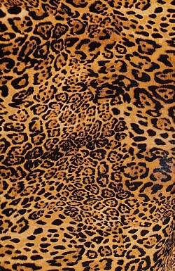 AP0027 - leopard - 100% cotton. 45'' wide. £6.99